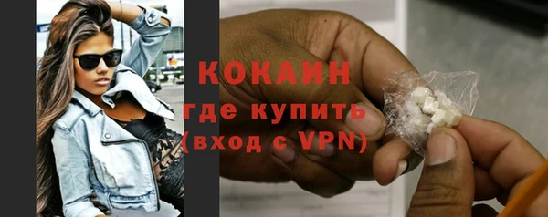 шишки Абаза