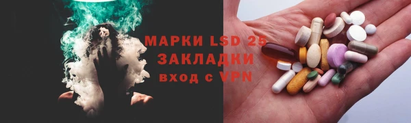 шишки Абаза