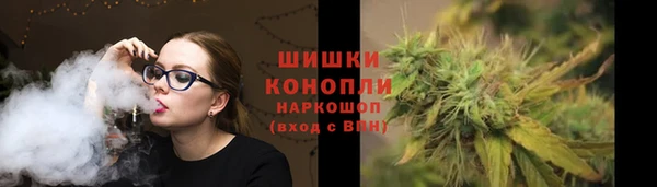 сатива Лагань