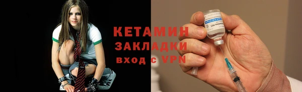 шишки Абаза